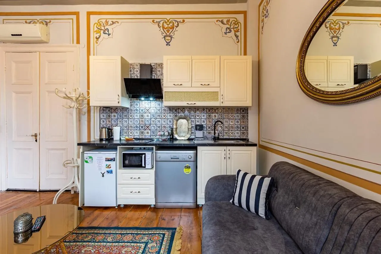Ali Pasha Apartment 이스탄불