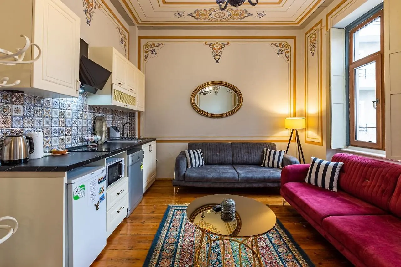 Ali Pasha Apartment 이스탄불 3*,  터키