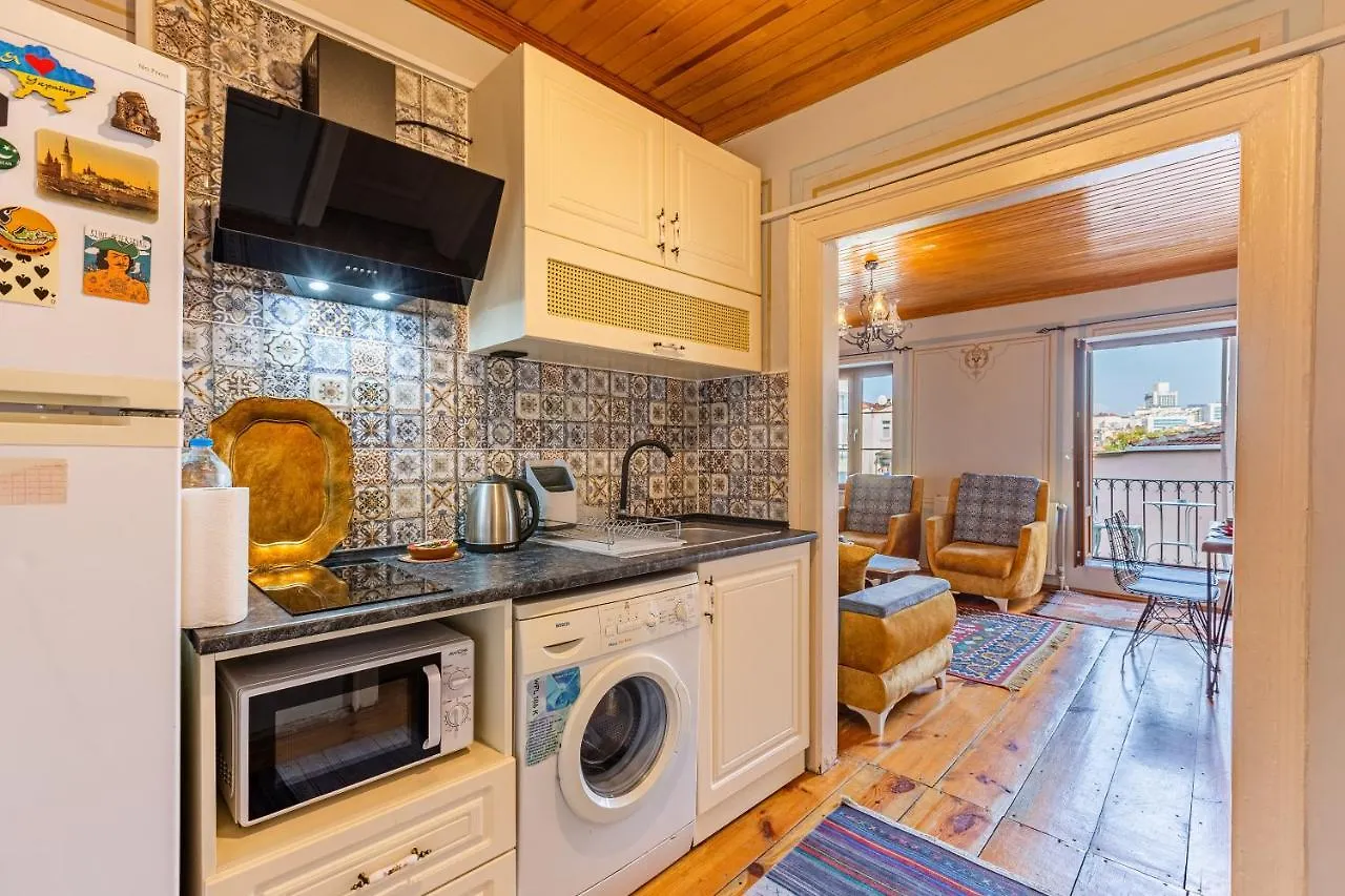 Ali Pasha Apartment Istanbulská provincie